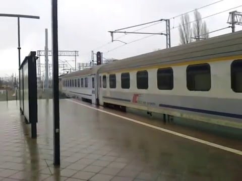 Złota EP 09 047 ic mehoffer