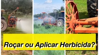 Roçar ou Aplicar Herbicida? O que fazer quando seu pasto está sujo de plantas Daninhas