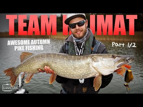 Awesome Autumn Pike Fishing - TEAM HAJMAT - Part 1/2 - Kanalgratis.se