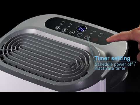 eeese Affugter Valdemar 22 L