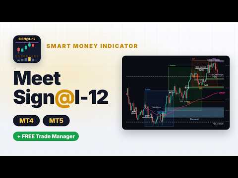 Video Signal12 MT4