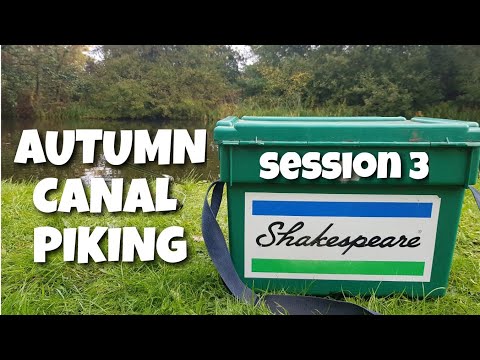 My Simple Canal Float Setup - Autumn Piking Session 3