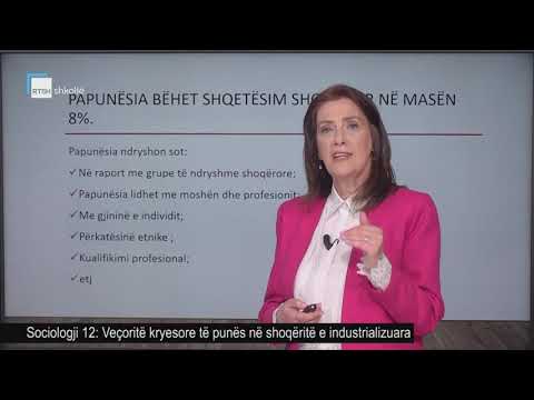 Sociologji 12 - Veçoritë kryesore të punës në shoqëritë e industrializuara