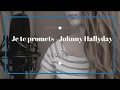 Je te promets - Johnny Hallyday (cover) Je te promets - Johnny Hallyday (cover)