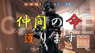 【InfRain】日本キャッスル生命 Life Protection