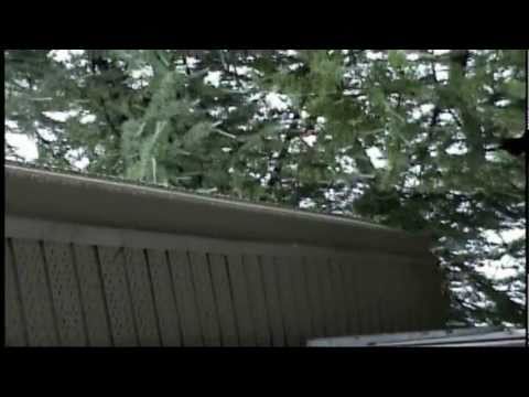 Rainy Day in Dorval  2011-06-24