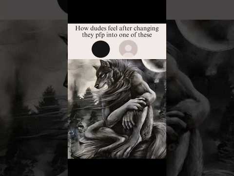 Profile pictures be like