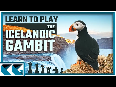The Icelandic Gambit! (Quick Introduction)