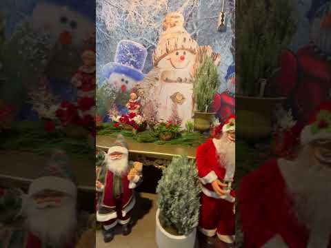 Já é Natal no Veilling Market em Holambra-SP #valmirpaesdesignfloral #saopaulo #flores