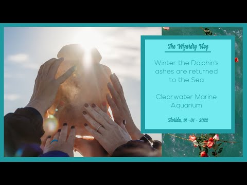 Winter the Dolphin's ashes are returned to the Sea | Clearwater Marine Aquarium | 13 - 01 - 2022
