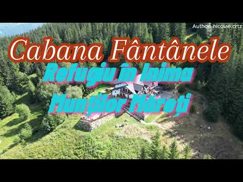 Cabana Fântânele: Refuge in the Heart of the Majestic Mountains