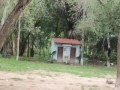 THE BLUE SPLENDOR ---   VISIÓN DE OTOÑO