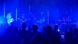 Rogue Wave -- The Last Picture Show