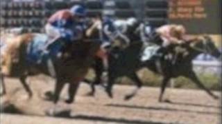 GRUPO LABERINTO  - NUEVE CABALLOS