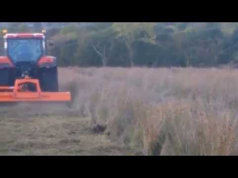 RINIERI T-RAPTOR HEAVY DUTY  FLAIL MOWER - Image 2