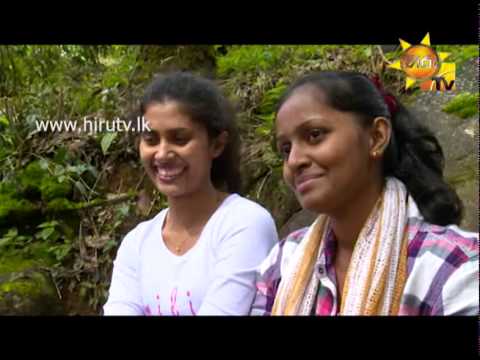 Hiru TV