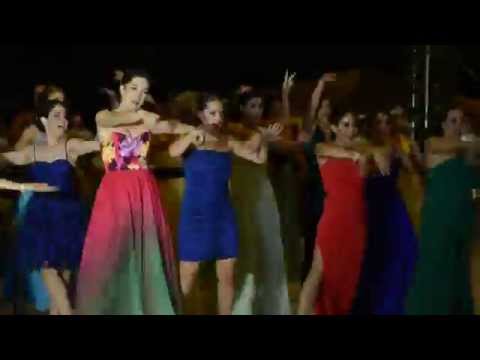 FLASHMOB BODA DIANA & JULIO