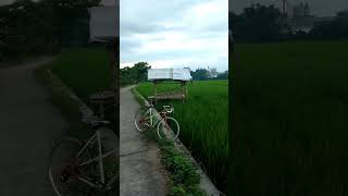 Download lagu Relaksasi Mendalam: Suara Sawah, Air, dan Burung', #musikrelaksasi #suaraalam mp3