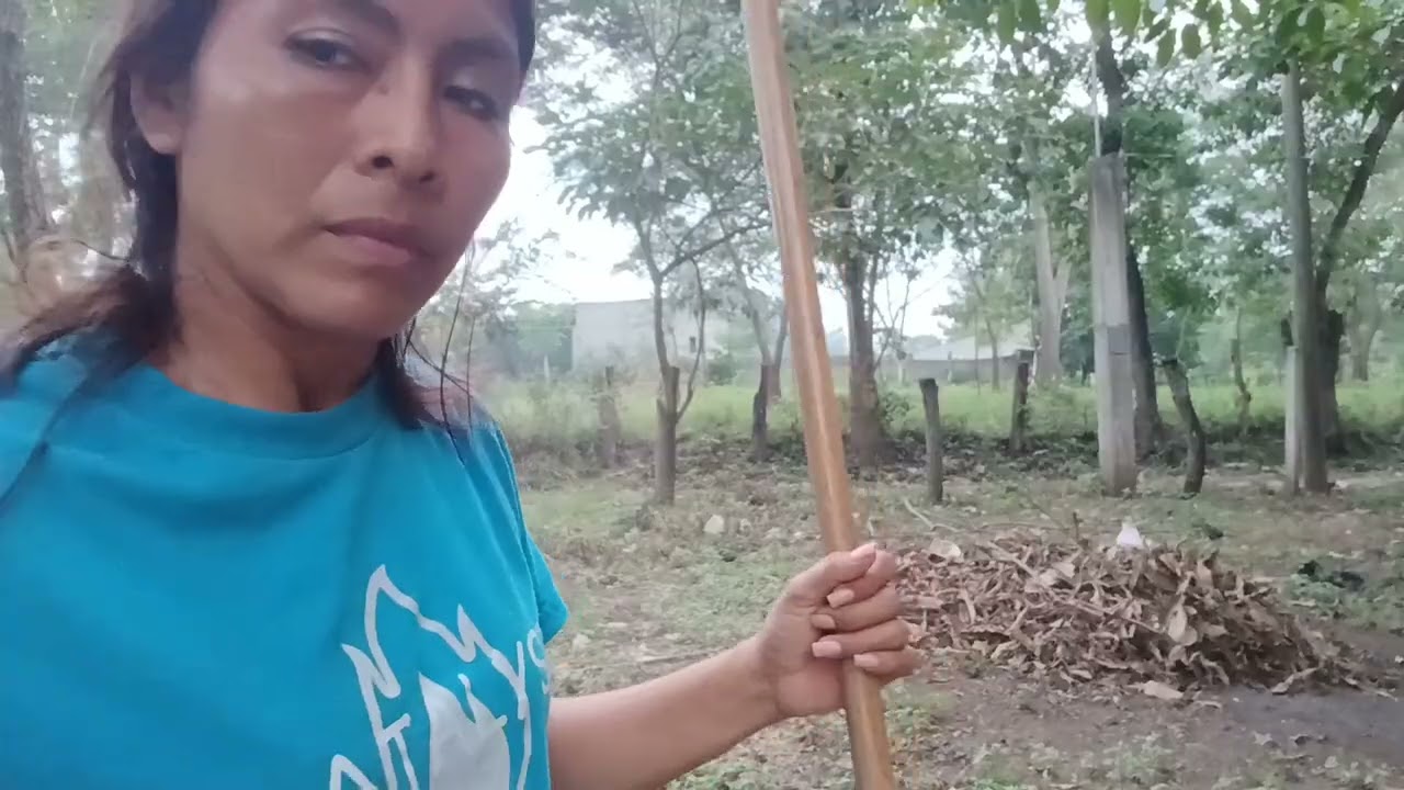 Amalia la critic4n tanto, por esta razón,