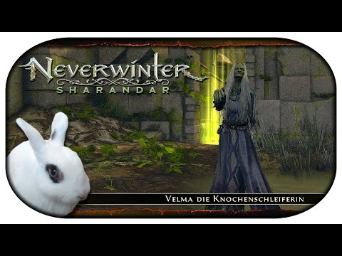 NEVERWINTER: Sharandar 🐇 18 - Beleidigungsfechten mit der Nachtvettel [Mod 20]