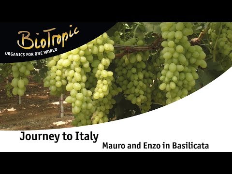 BioTropic visits suppliers in Italy, Aba Mediterranea – GB