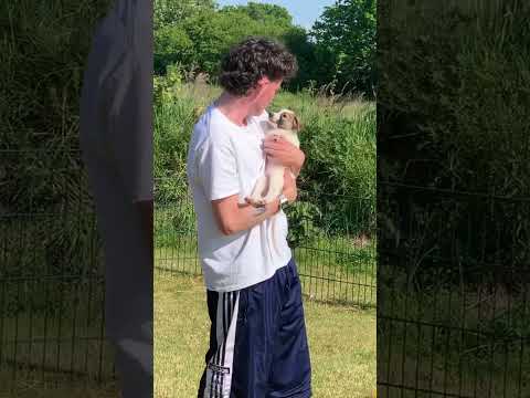 05.06.2023 - Kjell ist aber auch süß findet Jakob