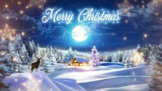 Download lagu STORY WA SELAMAT HARI NATAL 2021 || STATUS WA 30 DETIK#storywa#storywa30detik mp3