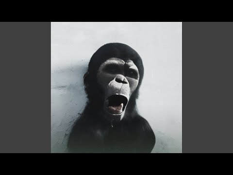Video thumbnail for Обезьяна (Monkey)