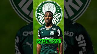 ÚLTIMAS NOTÍCIAS DO PALMEIRAS