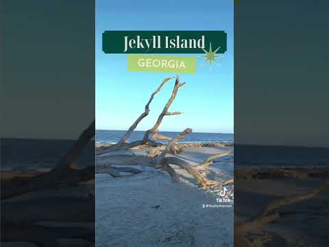 Family Vacation Ideas