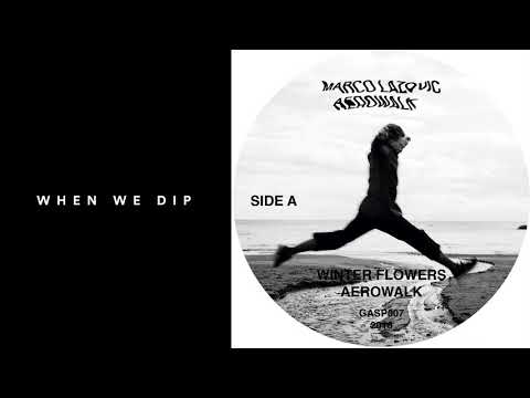 Premiere: Marco Lazovic - Winter Flowers [GASP Records]
