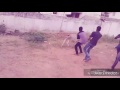 Jallikattu Songs