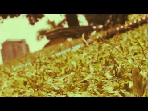 木立の - In the Grove