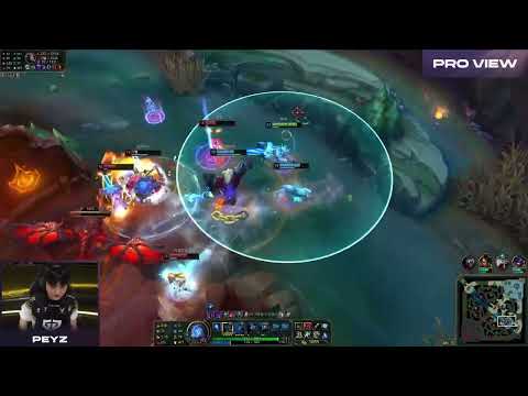 Peyz Ashe Pro View | GENG vs DK | LCK 2024 Summer W5D4