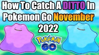 How To Catch A DITTO In NOVEMBER 2022! (Greedy Gluttons Event)