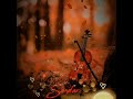 Sundari Kannal Violin Cover Bgm WhatsApp Status Thalapathi Rajnikanth Shobana