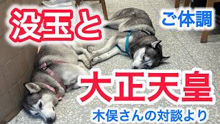 没玉と大正天皇 ご体調 木俣正剛さん