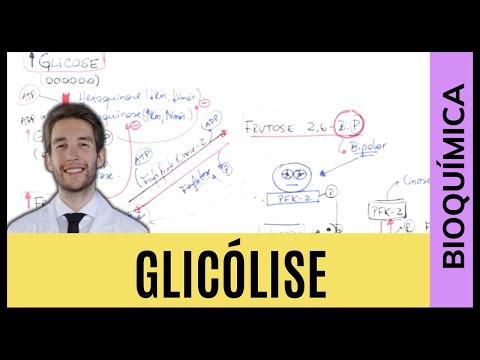 GLICÓLISE - MELHOR AULA DO MUNDO!