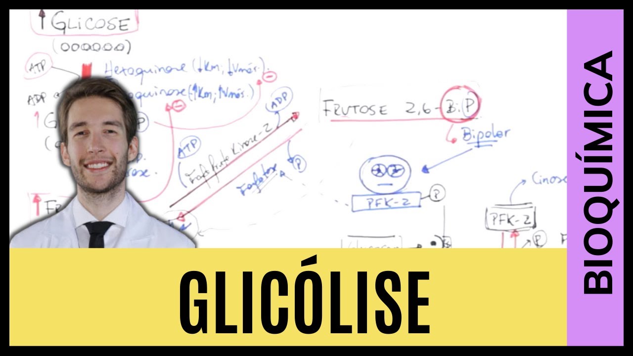 GLICÓLISE - MELHOR AULA DO MUNDO!