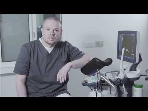 FertilityPort Prague