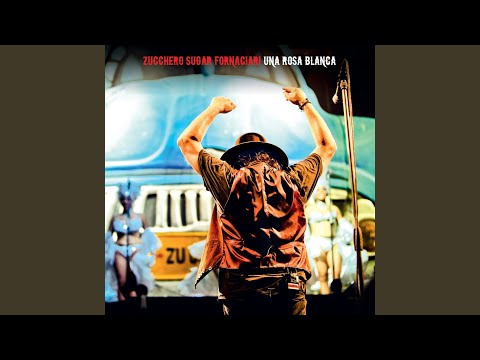 Videoclip de Con Le Mani (Live In Havana, Cuba / 2012) — Zucchero
