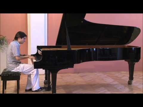 Nikola Scepovic - Fazil Say: Summertime Variations