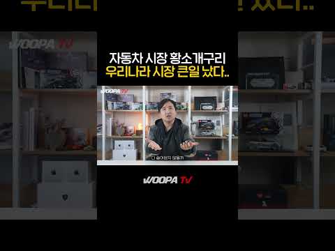 테슬라 왕국된 수입차 시장...