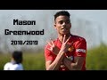 Mason Greenwood - 43 Goals & Assists - Season Highlights 2018/2019