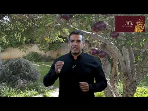 תמונה של مجالات التصميم وتخطيط الحدائق