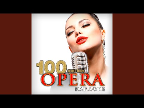 The Magic Flute, K. 620, Act II: Papageno's Aria - "Ein Mädchen oder Weibchen" (Instrumental...