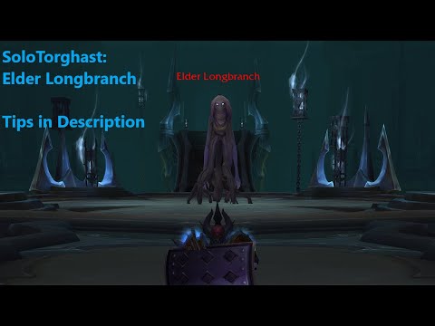 Elder Longbranch Guide: Layer 8 Solo Prot Pally - WoW Shadowlands