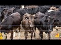 Curso Administração da Pequena Empresa Rural