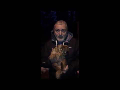Daniel Hůlka - HLEDÁ SE DUSTIN