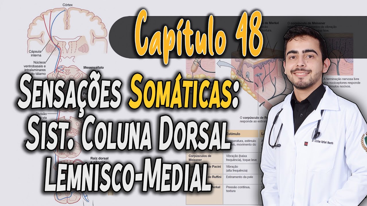 Fisiologia - Sensações Somáticas I: Sensações de Tato e Posição Corporal (Capítulo 48) PT 1 │ GUYTON